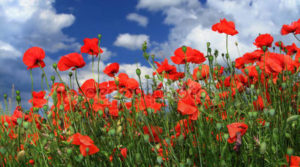 Το σκόρπισμα της εξουσίας εμπόδιο στη διαπλοκή